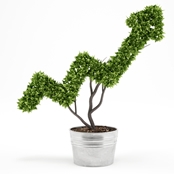Growth