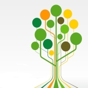 Business Growth