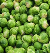 Sprouts cover